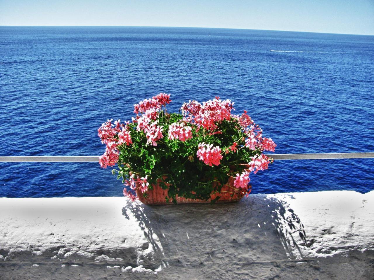 La locanda sul Sentiero Agerola Exterior foto