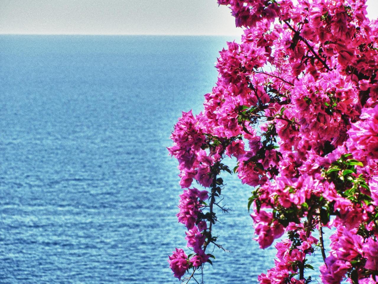 La locanda sul Sentiero Agerola Exterior foto